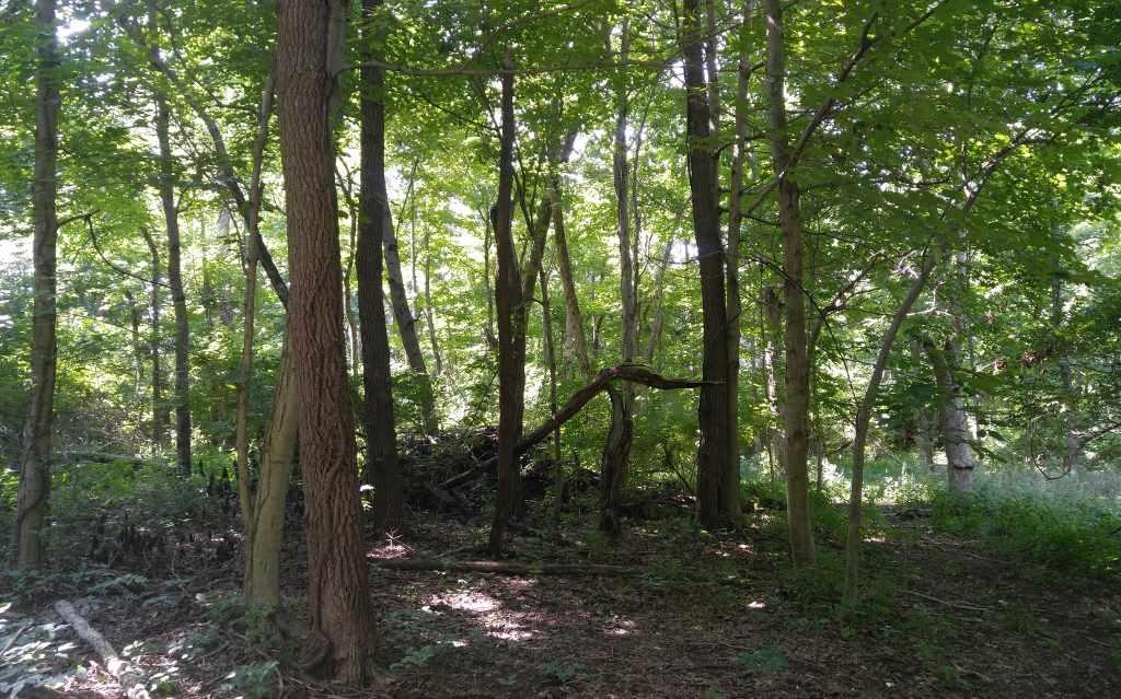 4872 Fowler Creek Road - Photo 1 4872 Fowler Creek Road - Photo 1