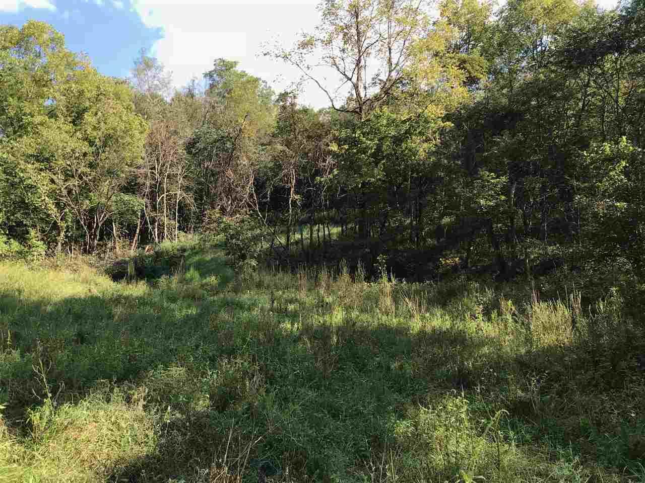 0 Brush Creek - Photo 1 0 Brush Creek - Photo 1