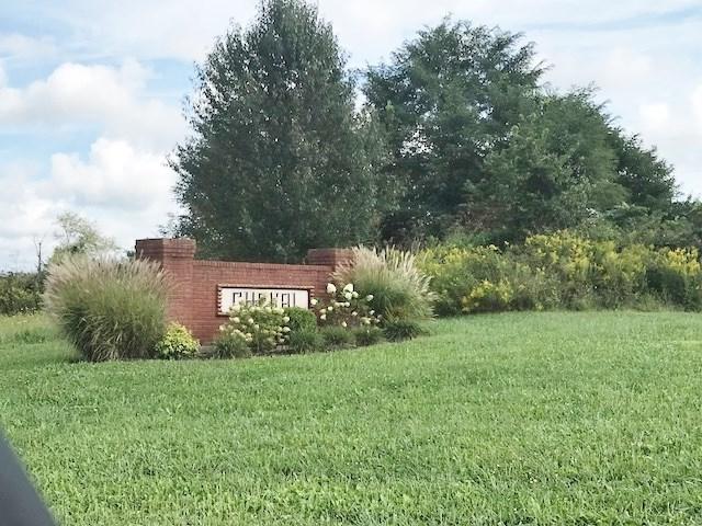 1103 Cheval Drive - Photo 1