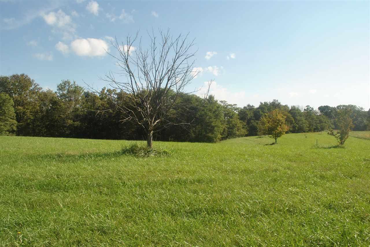 8595 Napoleon Zion Station Road - Photo 1