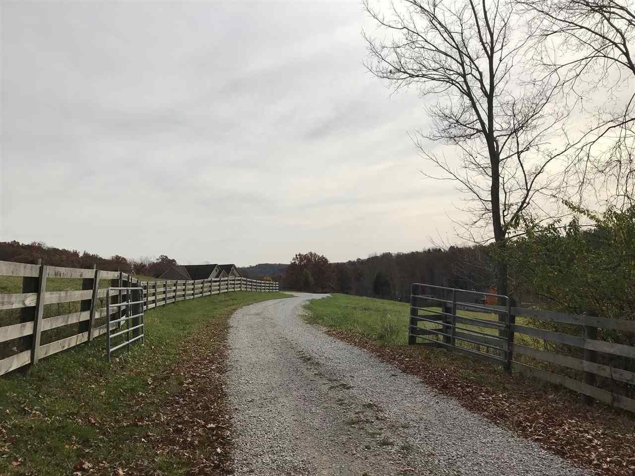 11099 Pleasant Ridge Road - Photo 1