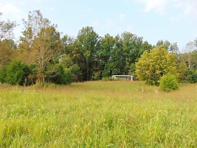 3615 Highway 330 - Photo 1