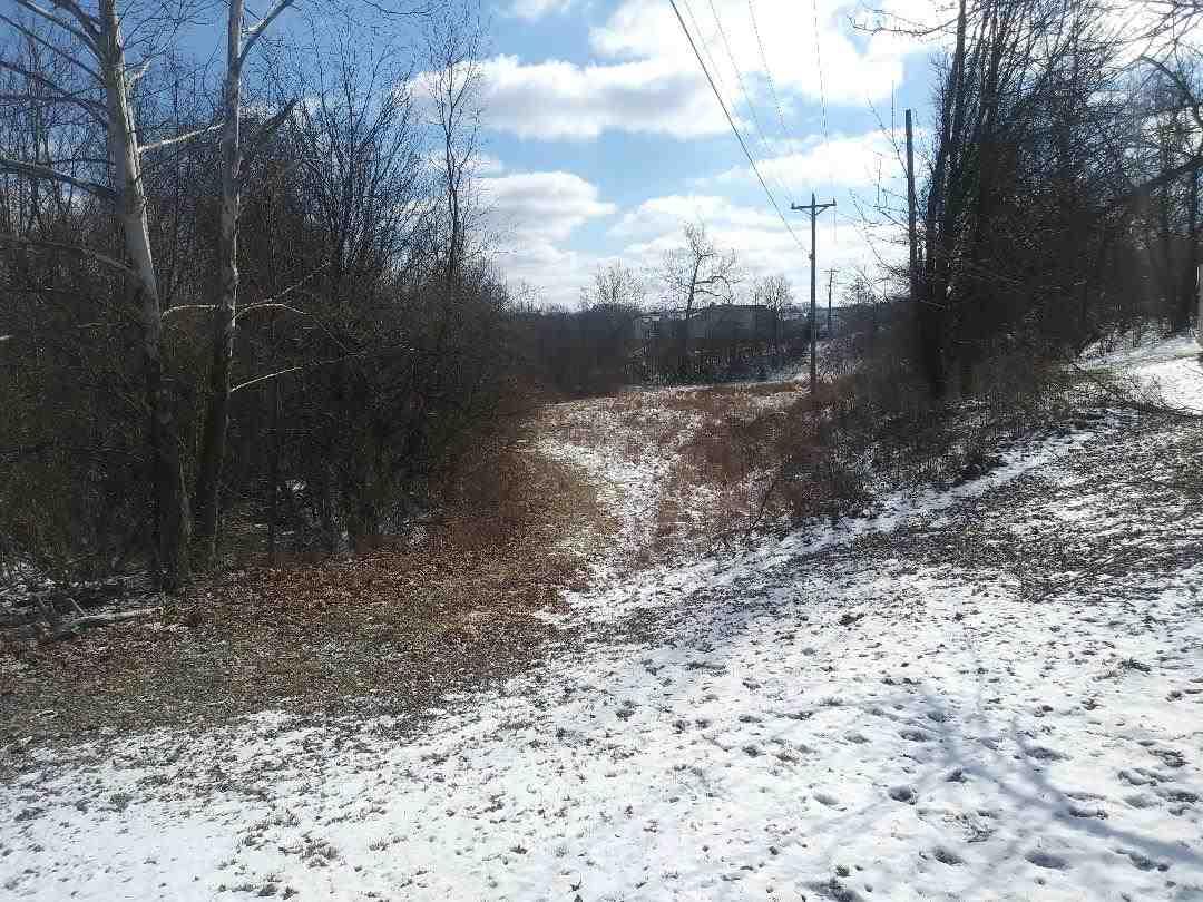 Tract 2 Parcel Hunters Trace - Photo 1