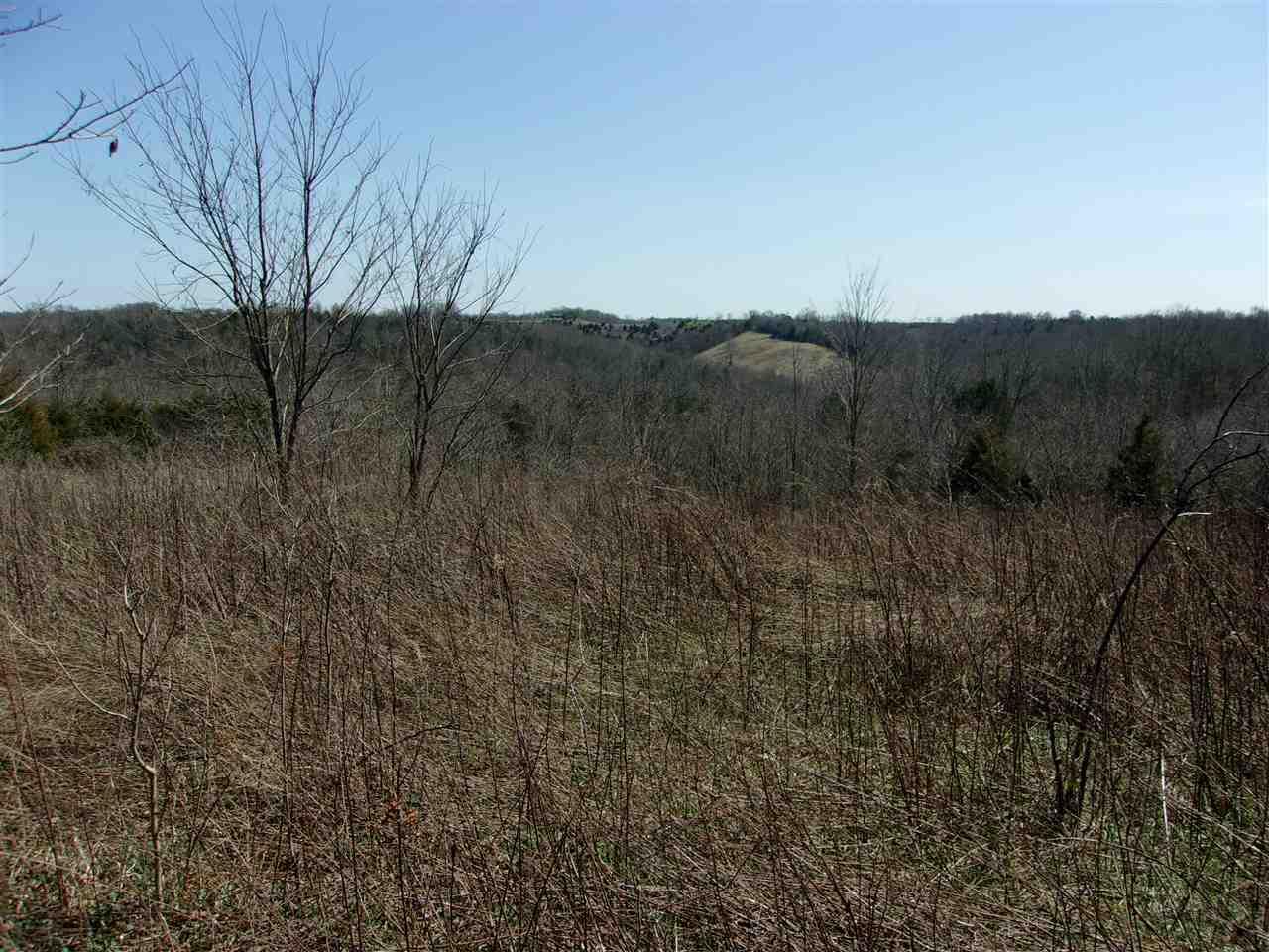 50 Ac Central Ridge Road - Photo 1