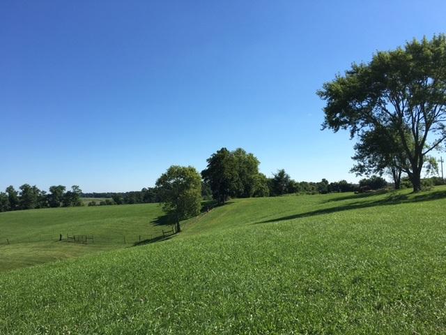 54 Acres Peach Grove Road - Photo 1