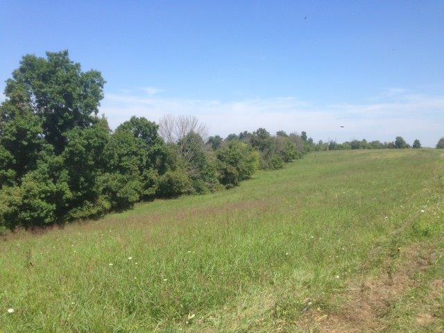 Lot D Peach Grove Road - Photo 1
