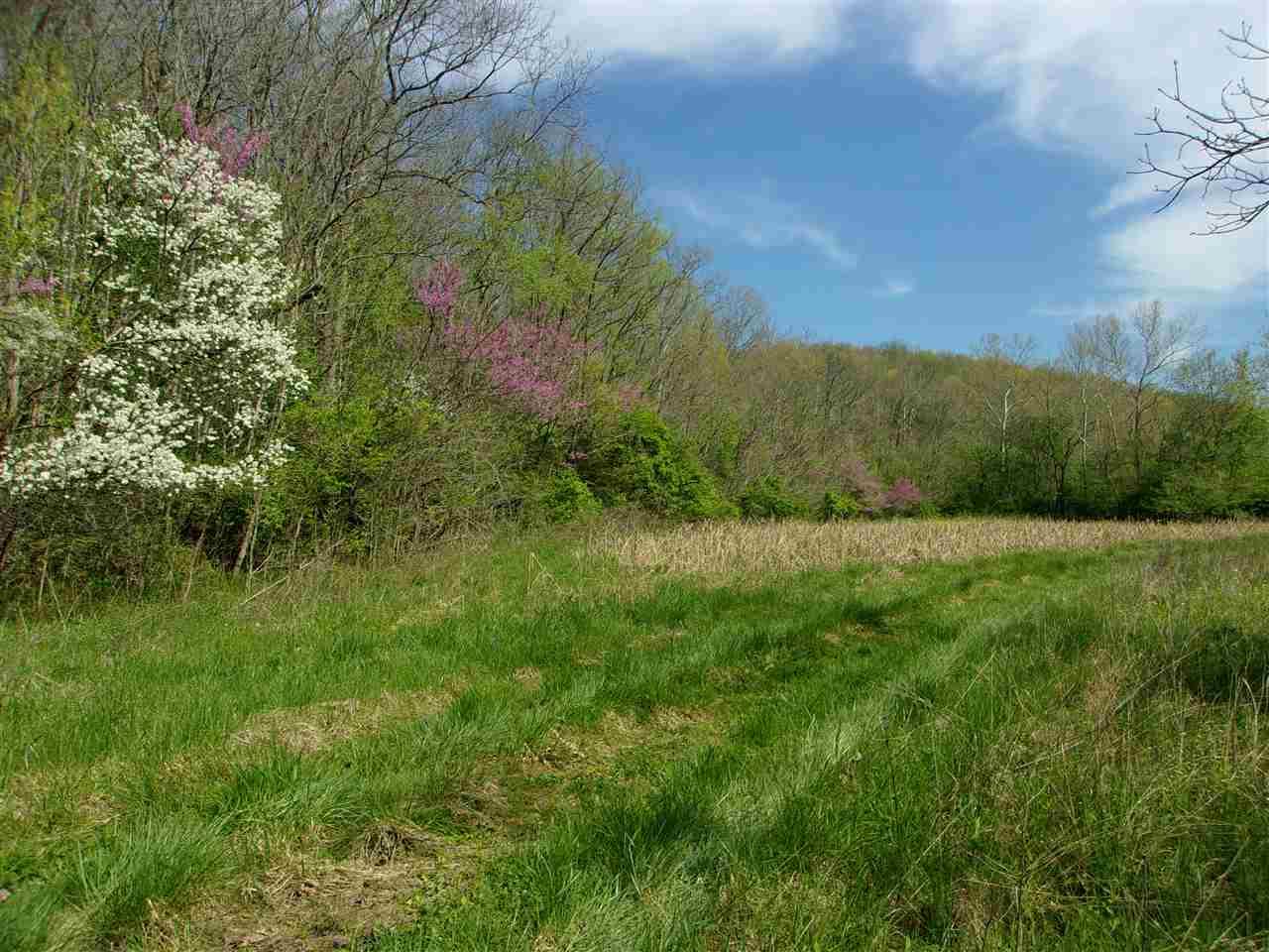 150 Ac Hwy 1159 - Photo 1