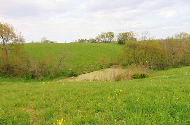 Golds Valley Rd - Photo 1