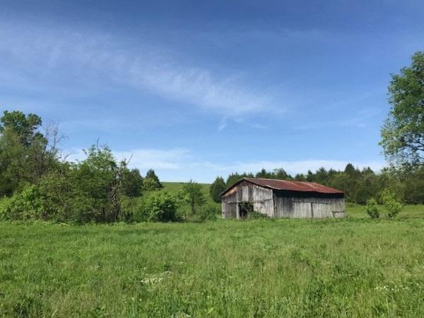 000 Creek Road - Photo 1