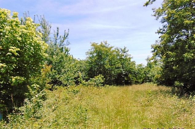 1525 Highway 22 - Photo 1