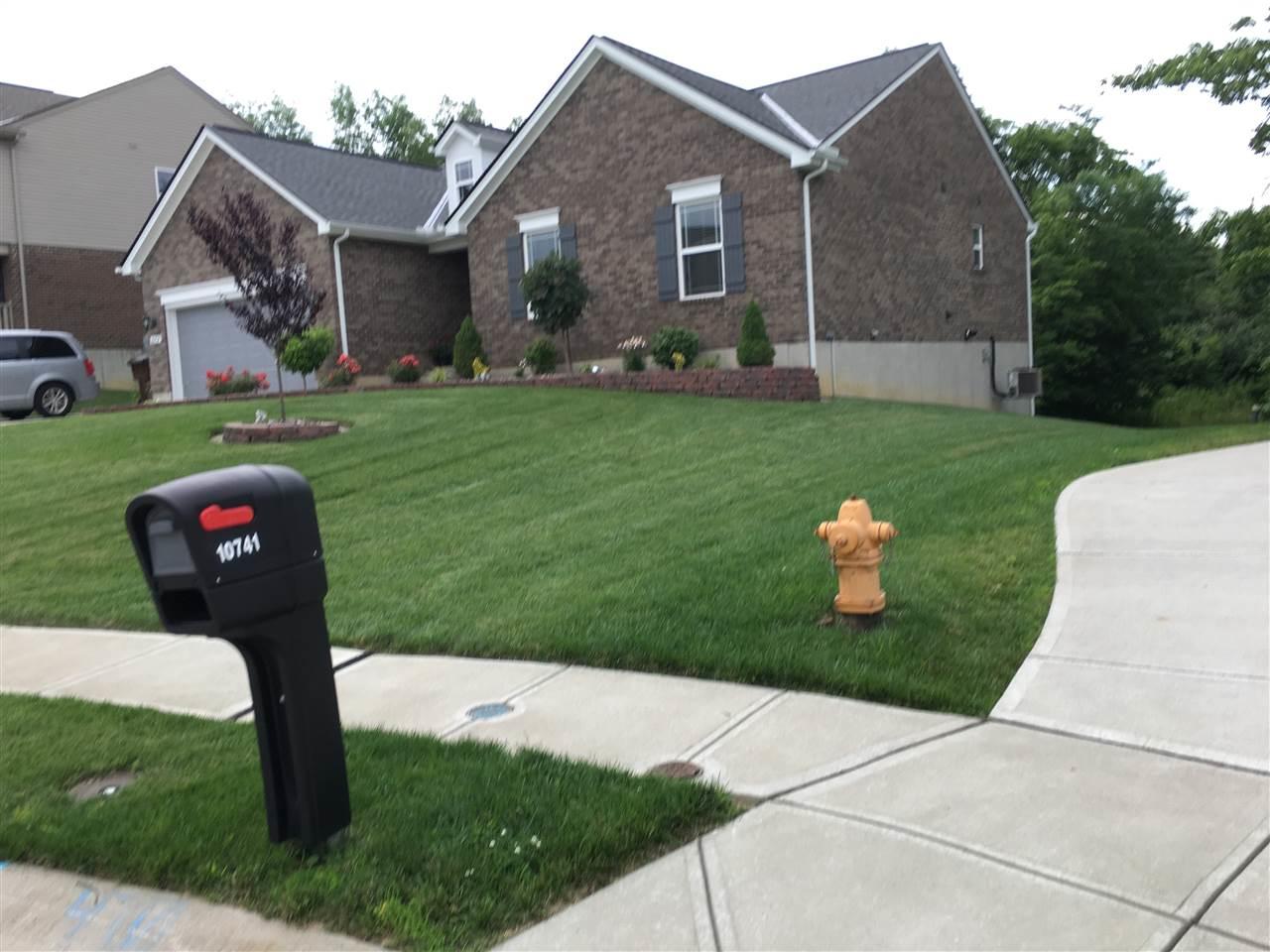 10737 Blooming Court - Photo 1