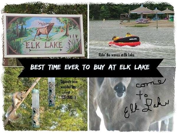 445 Elk Lake Resort , Lots 1251-1253...1255-1257 Road - Photo 1