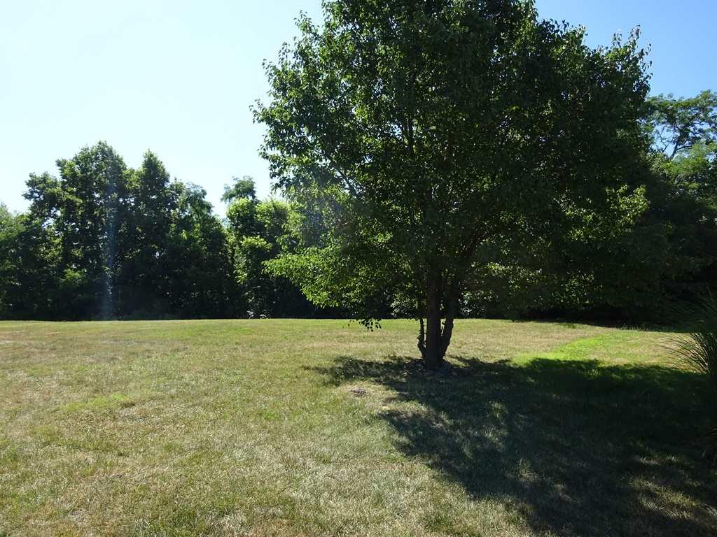 3455 Sunbrite Drive - Photo 1