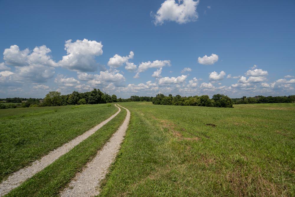 142 AC Conrad Lane - Photo 1