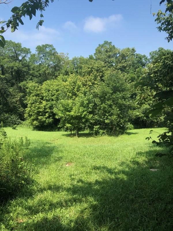1430 Lemon Northcutt Road - Photo 1