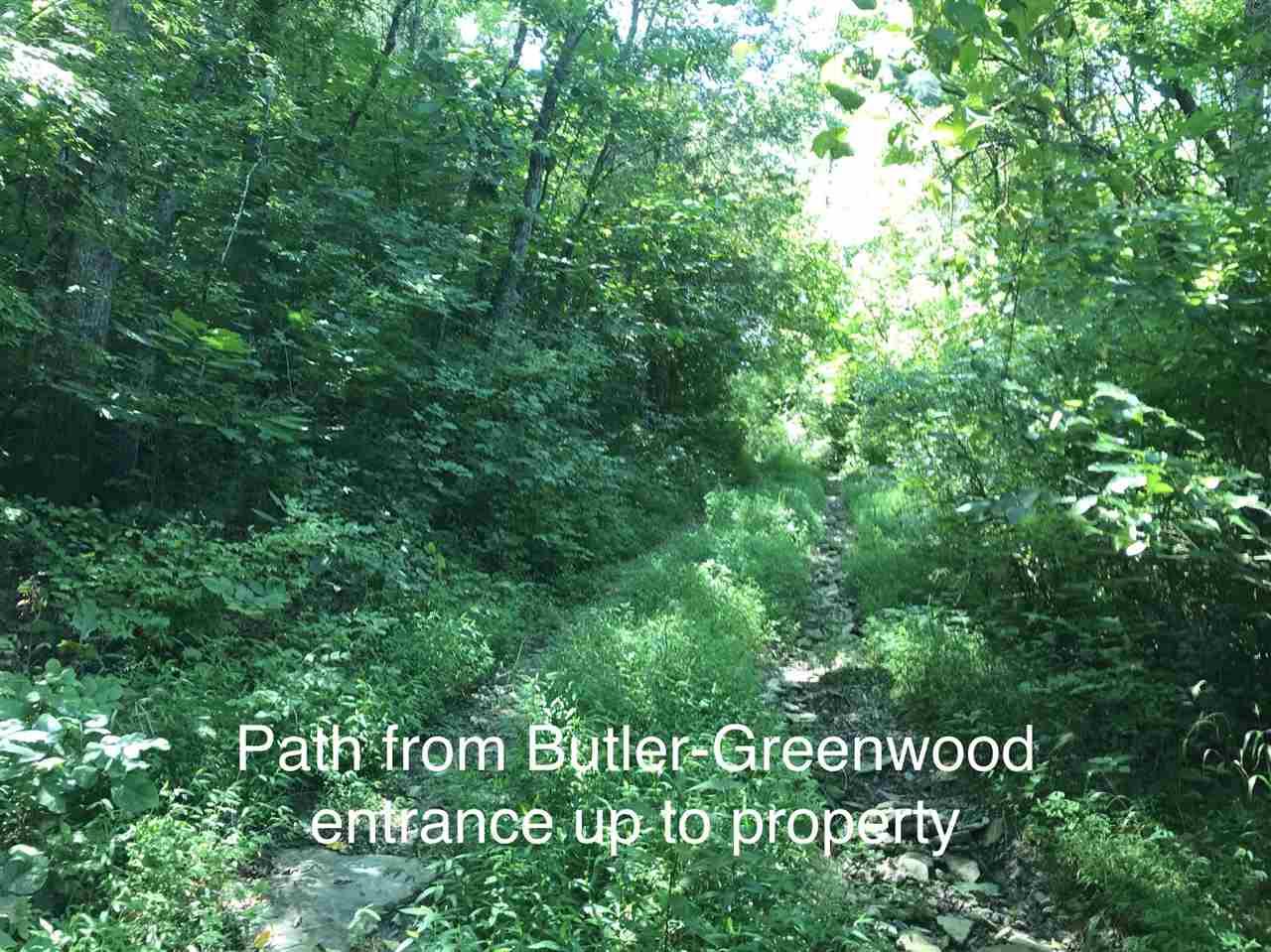 0 Hogback Ridge - Photo 1