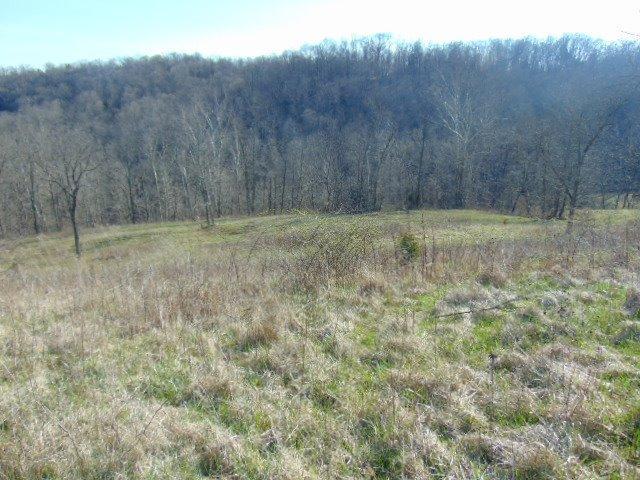 350 Burkes Lane - Photo 1