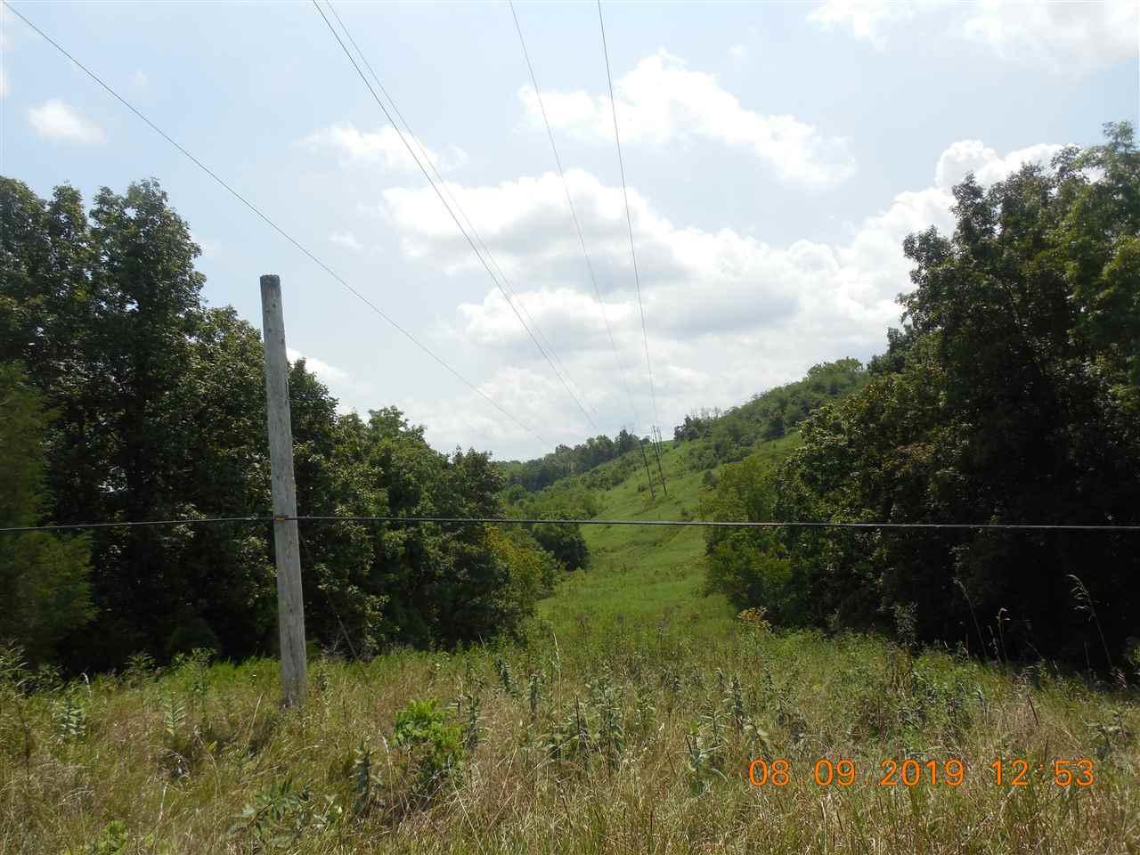 100 Lynn Pope Lane - Photo 1