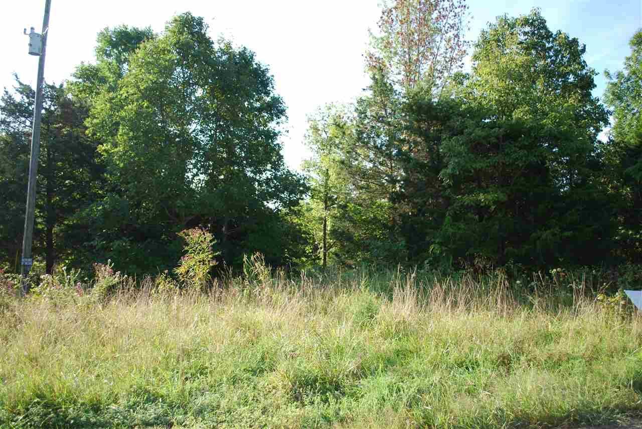 3.41 acres Brushy Creek Drive - Photo 1