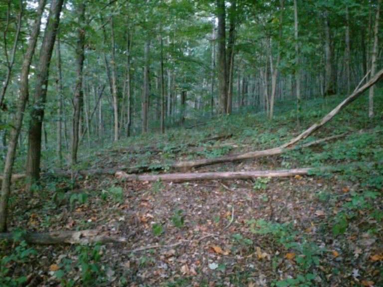 US 27 Minzie Bottoms Butler Ky Highway - Photo 1