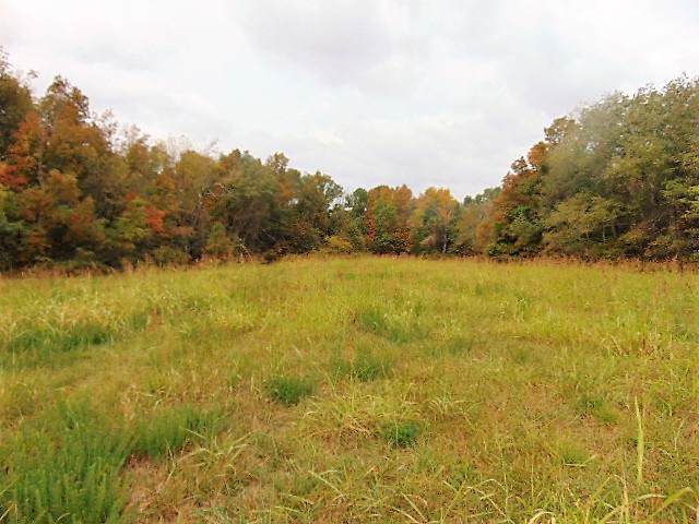 85.76 acres Hwy 127N - Photo 1