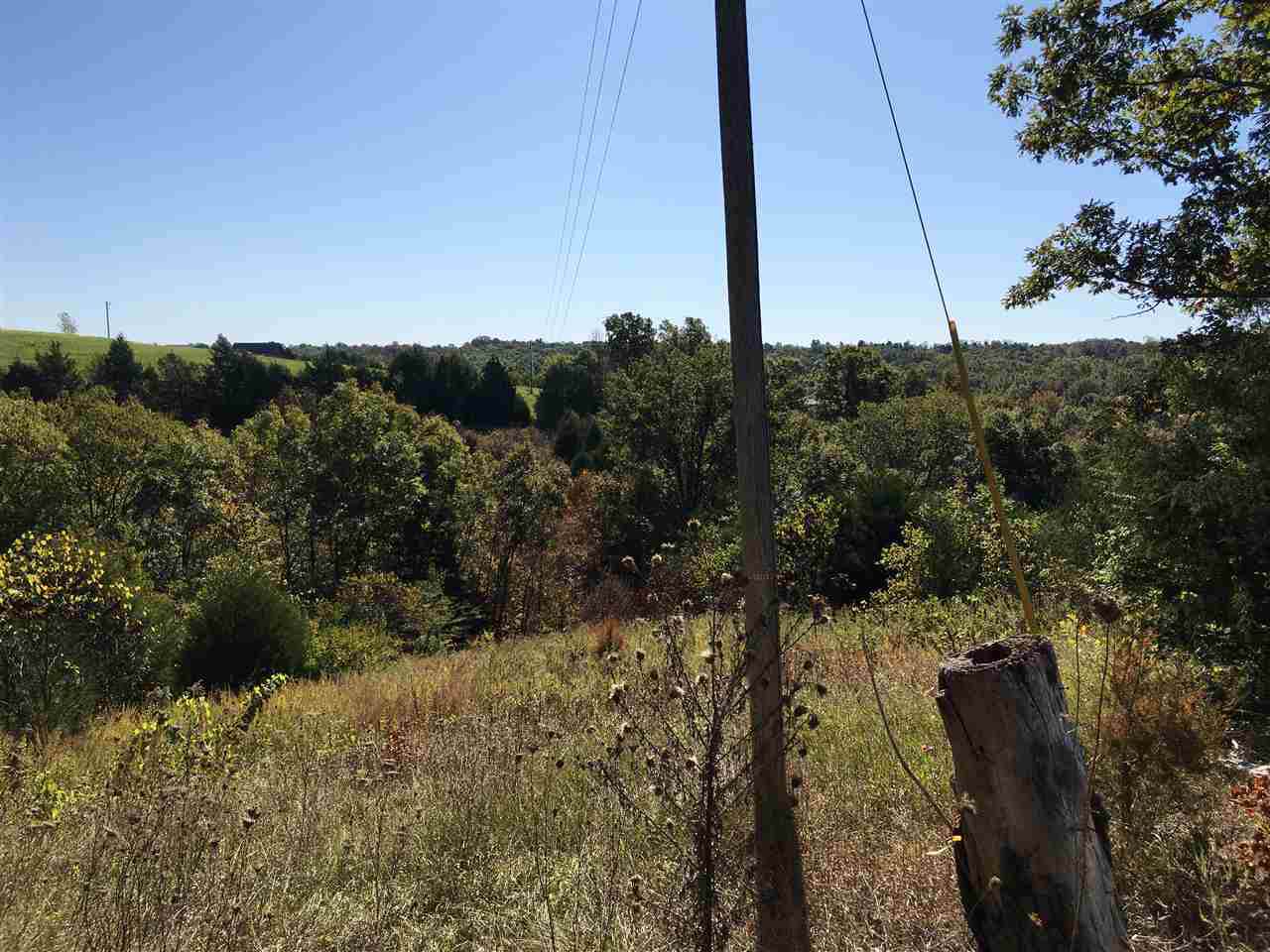 10 Acres Lincoln Ridge Road - Photo 1