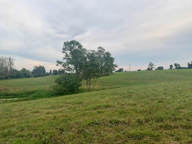 915 Eads Road - Photo 1
