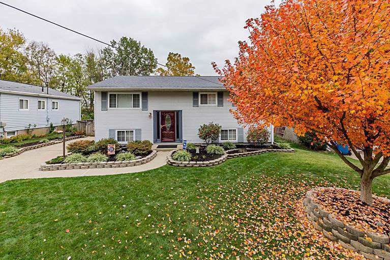 3405 Cedar Tree Lane - Photo 1 3405 Cedar Tree Lane - Photo 1