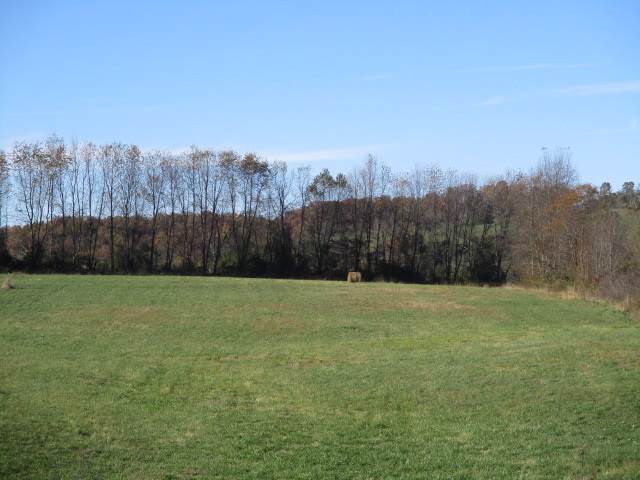 324 Southfork Drive - Photo 1