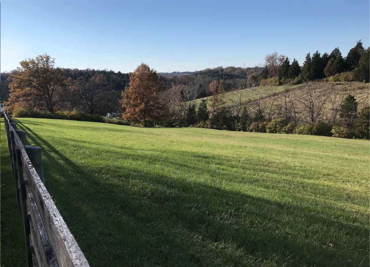 Lot 8 Mount Subasio - Photo 1