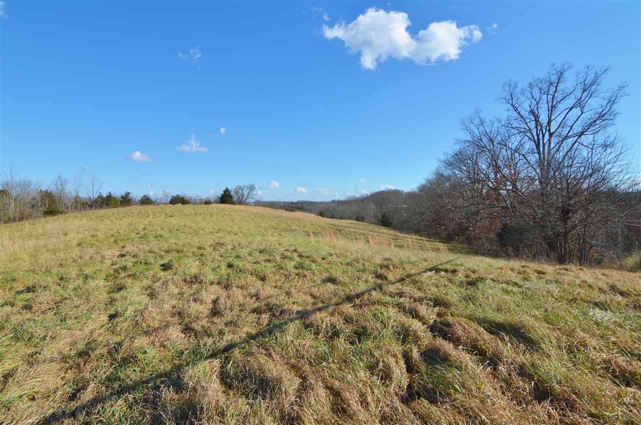 4+/- Acres Ky Hwy 27 - Photo 1