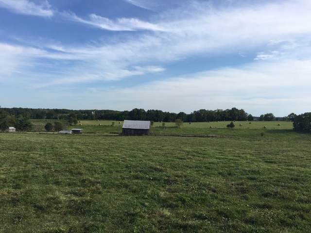 1 Tract Mount Vernon Pike - Photo 1