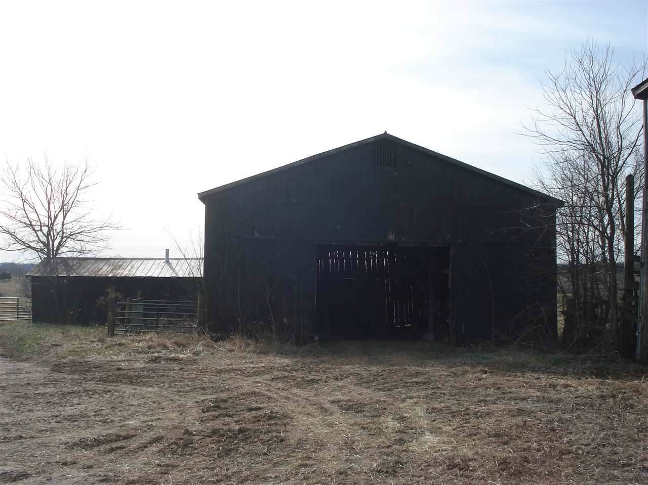 Tract 1 Ky Hwy 36 - Photo 1
