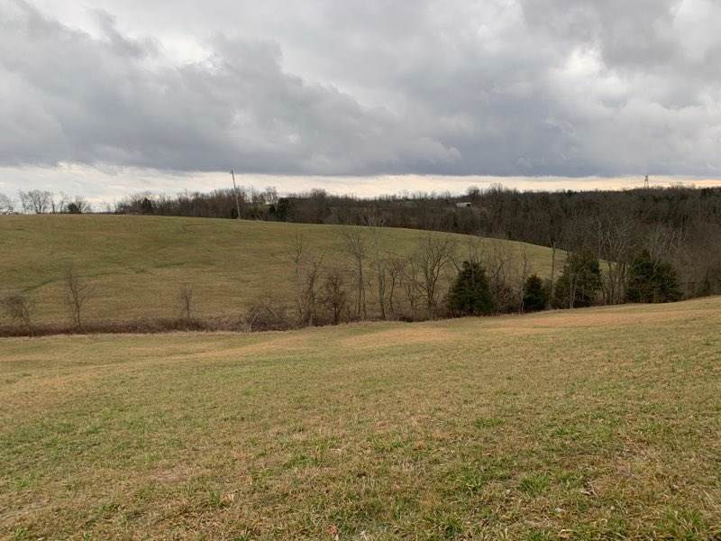 0 Taft Highway - Photo 1
