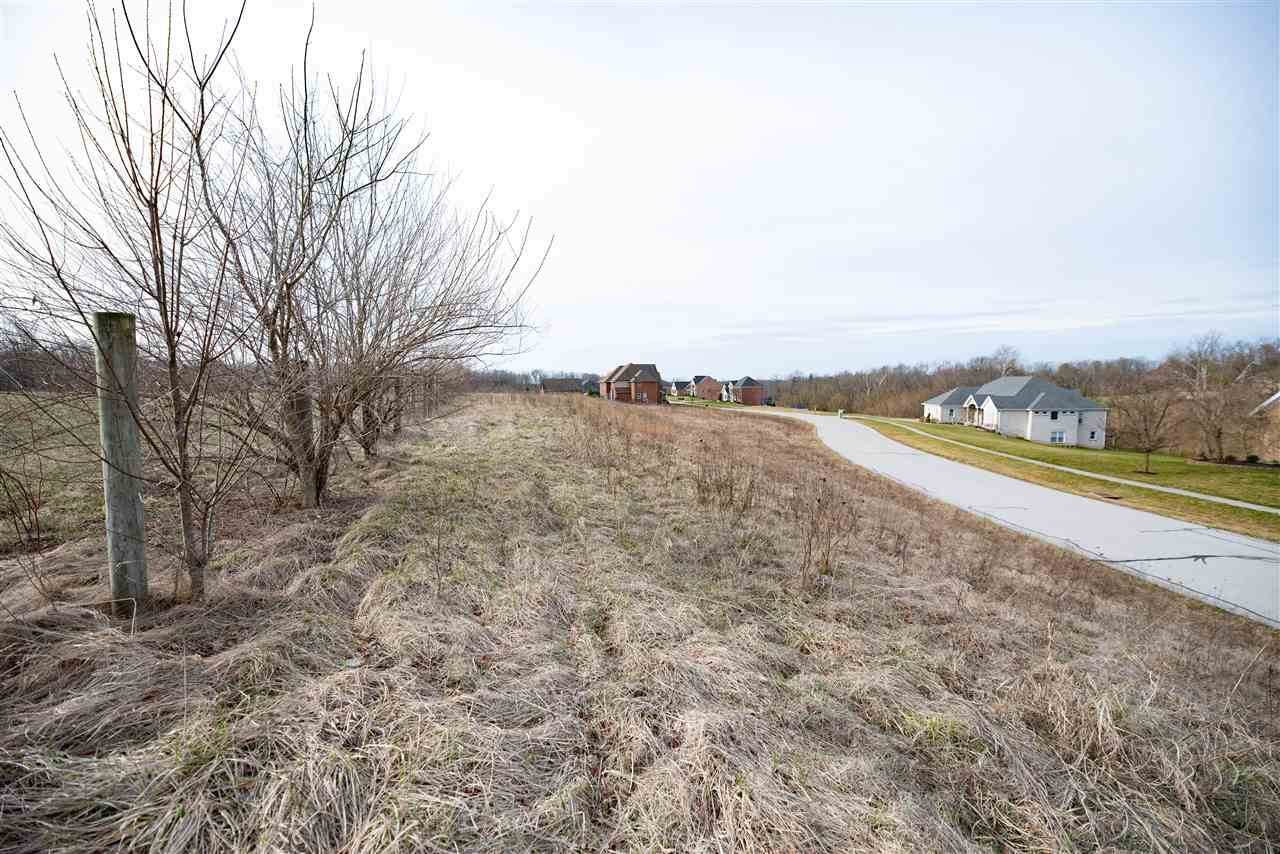 10017 Tayman Drive - Photo 1