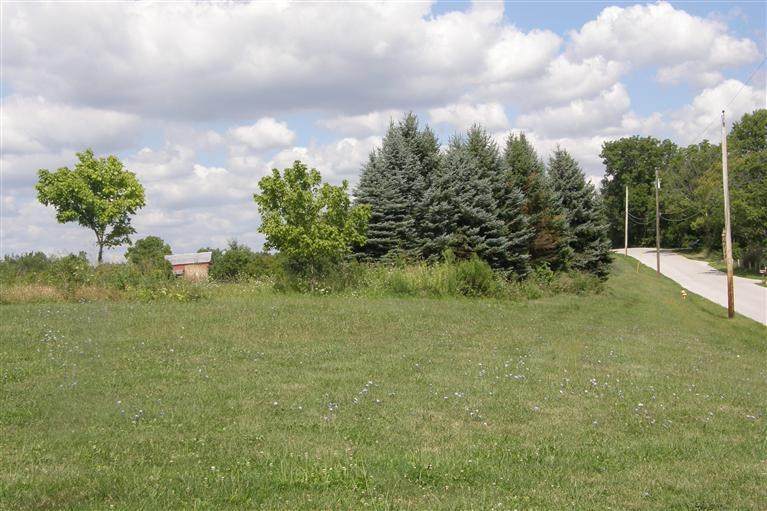 2241 Hempfling Road - Photo 1