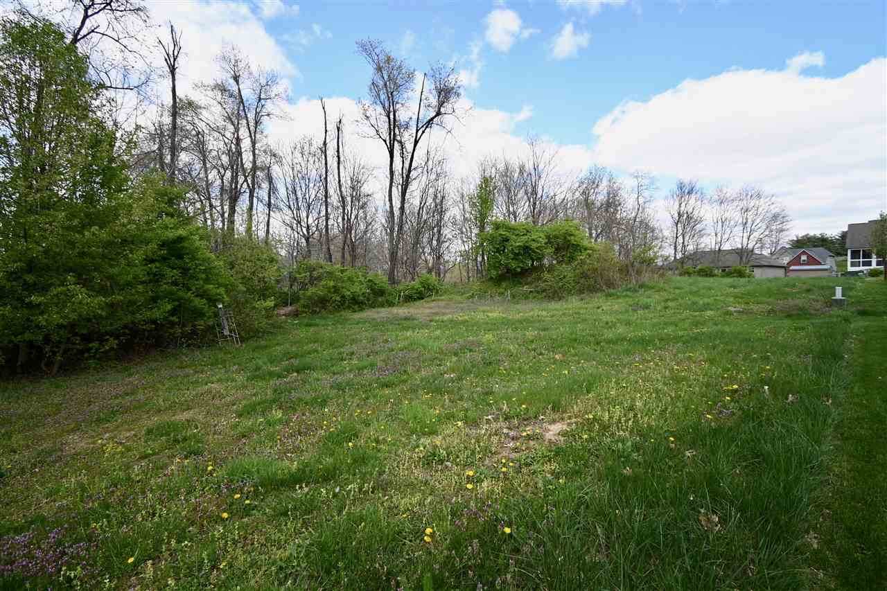 7020 Lucia Drive - Photo 1 7020 Lucia Drive - Photo 1