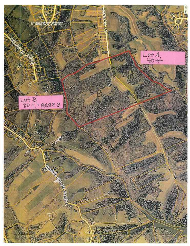 Lot A & B Conrad Lane - Photo 1 Lot A & B Conrad Lane - Photo 1