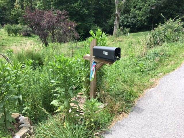 9030 Washington Trace Road - Photo 1