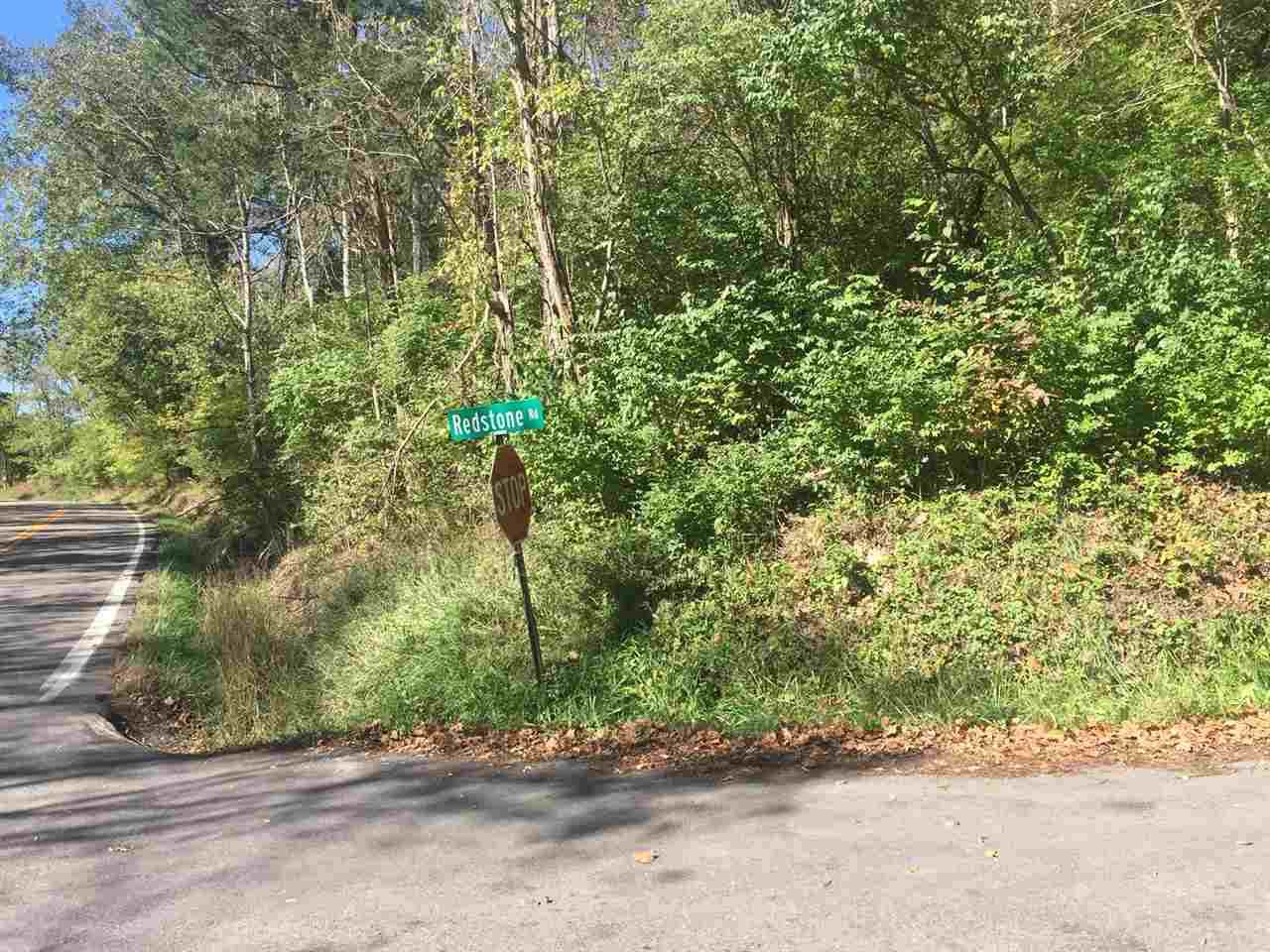 1610 Redstone Road - Photo 1