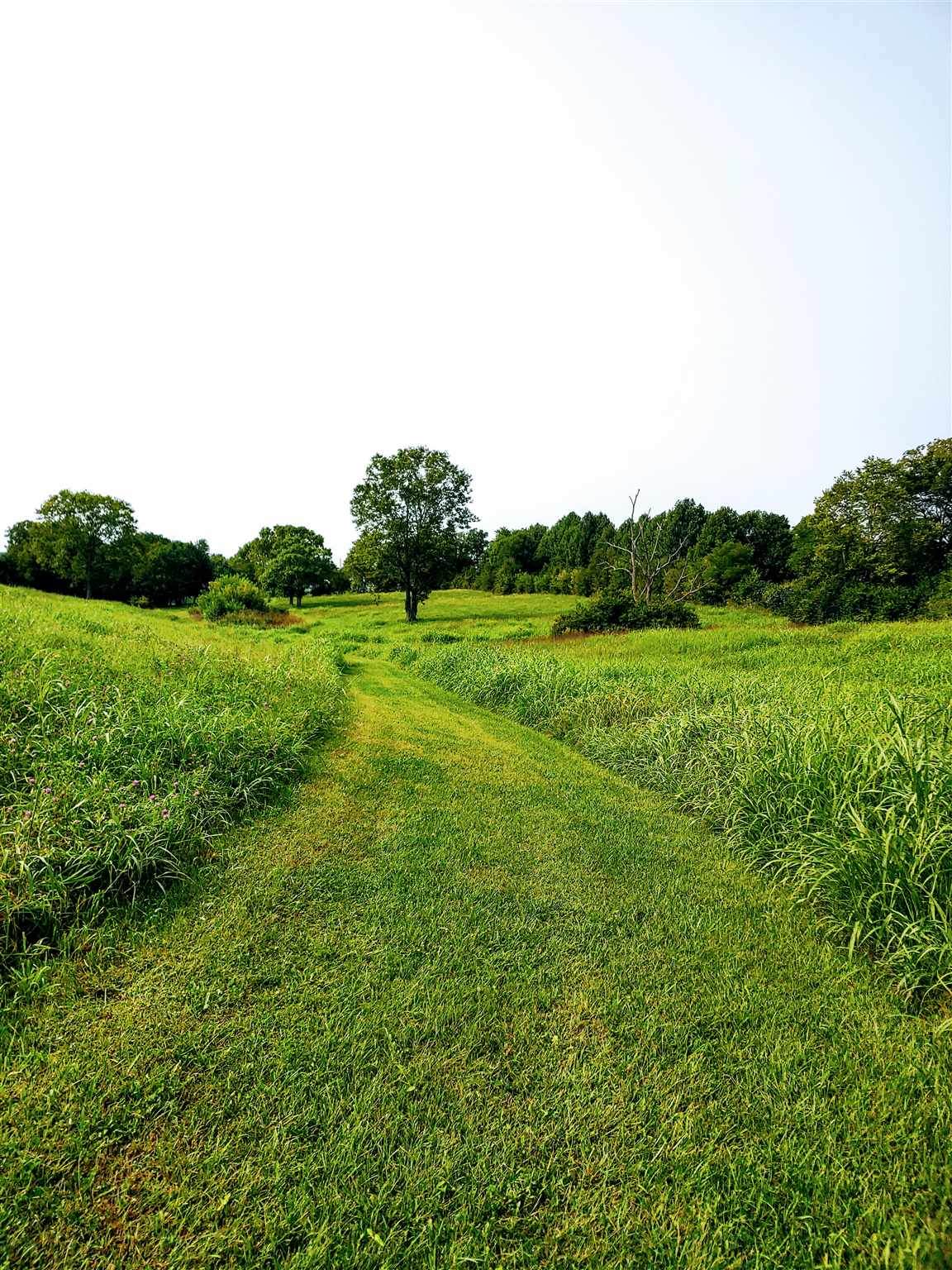 1380 Ky Hwy 36 E - Photo 1