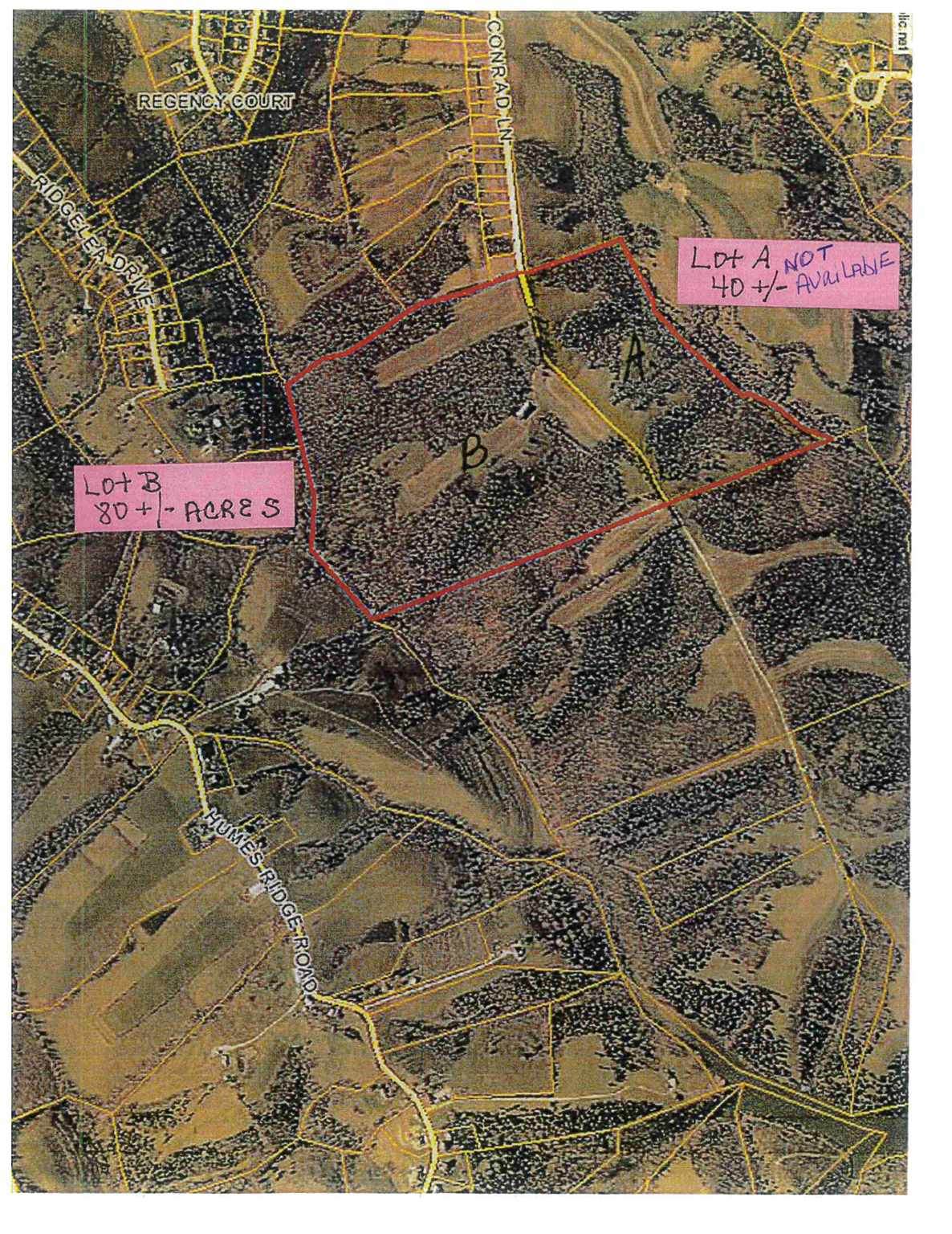 Lot B Conrad Lane - Photo 1