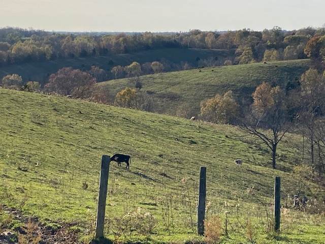 4628 Powersville Harrison Co. Rd. - Photo 1