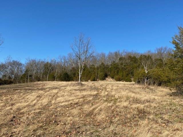 Hwy 127 & 16 - Photo 1