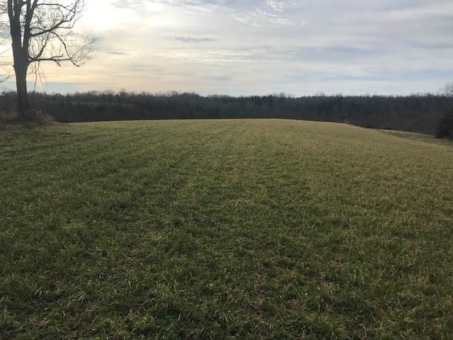 1350 Osborne Road - Photo 1