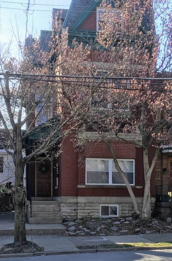 603 Greenup Street - Photo 1