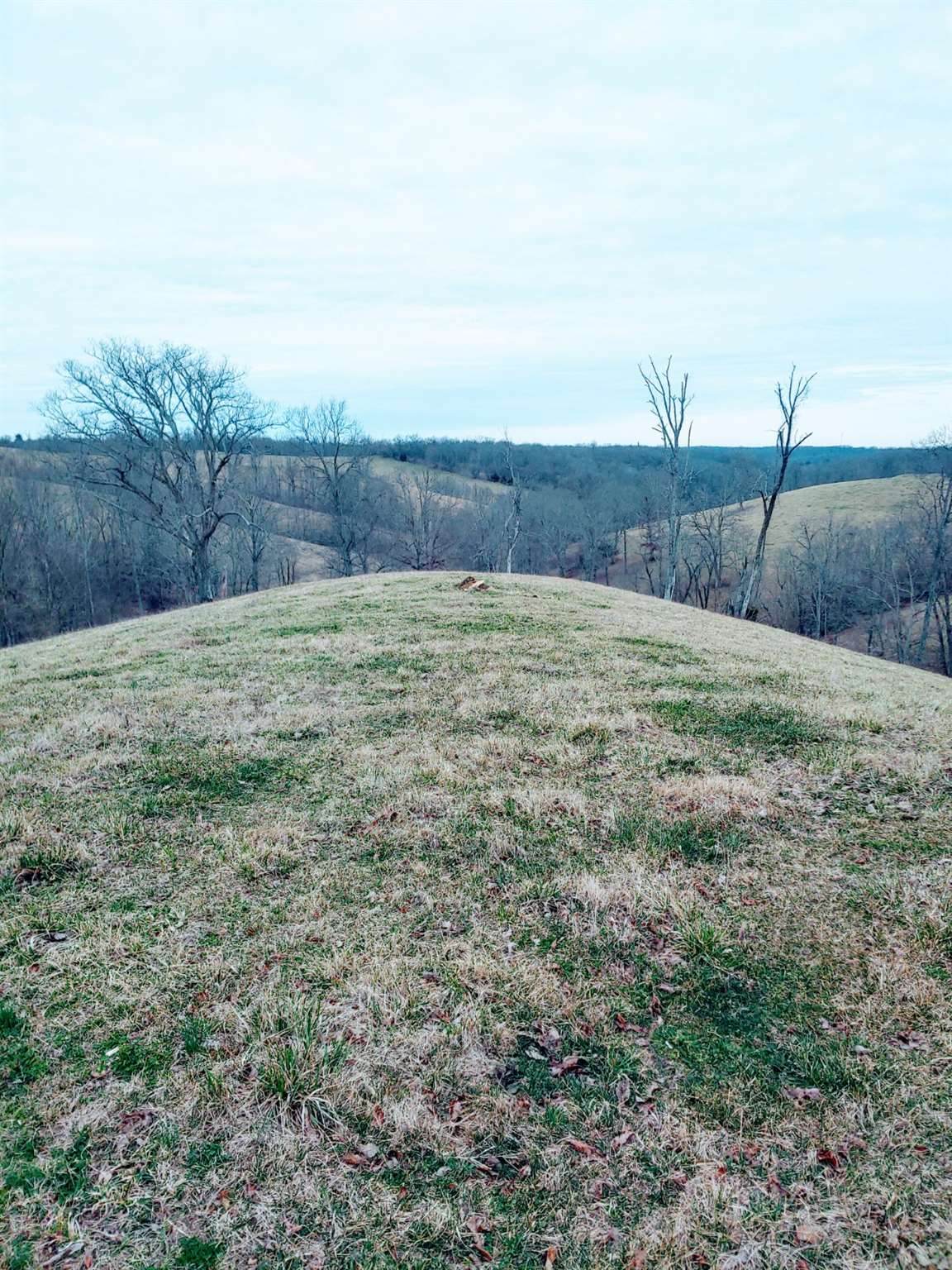 Tract #6 Stone Lane - Photo 1