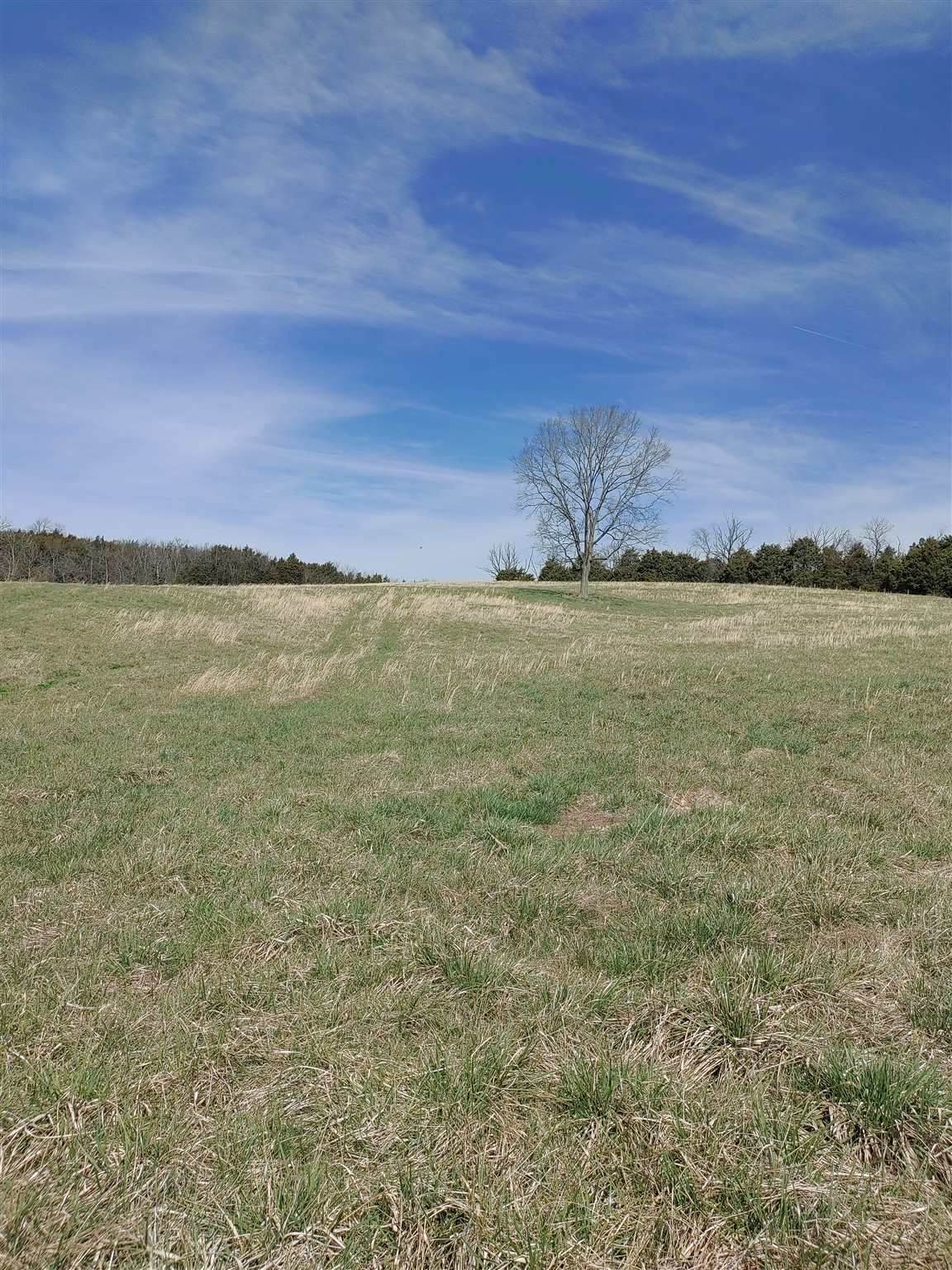 0 Kings Lane - Photo 1