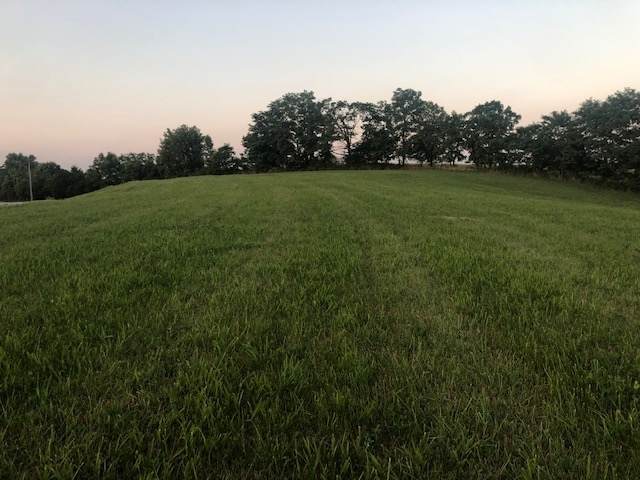 5 acres Kerns Lane - Photo 1