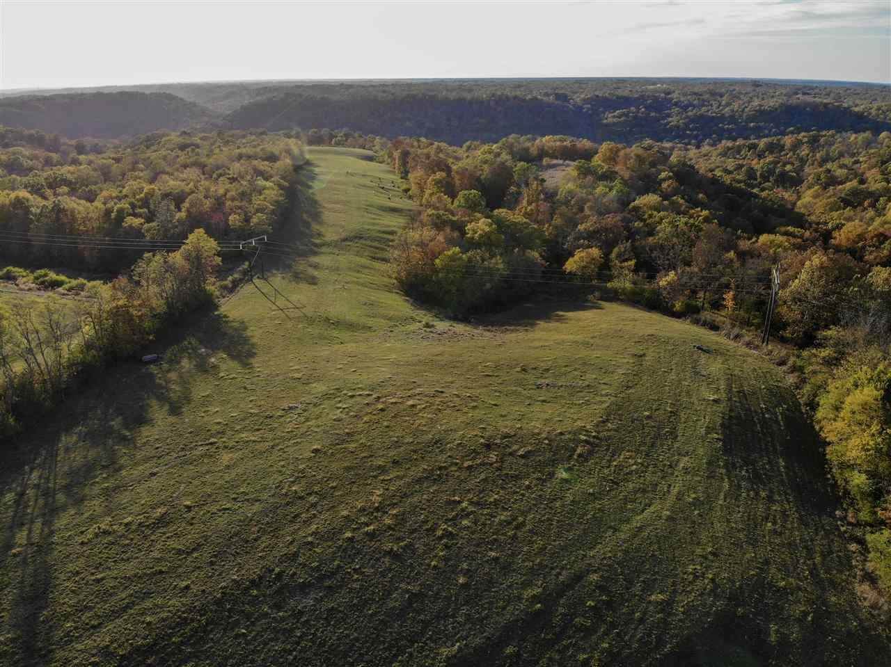 9317 Camp Ernst Road - Photo 1